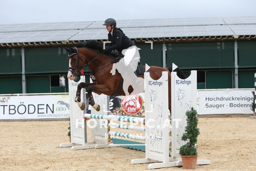 DL2Q0633 | Willkommen bei Brunnmayr - Design & Fotografie – Ihrem Spezialisten für Reitturniere und Pferdeveranstaltungen in Oberösterreich, Salzburg und Bayern! Seit über 17 Jahren sind wir leidenschaftlich dabei.