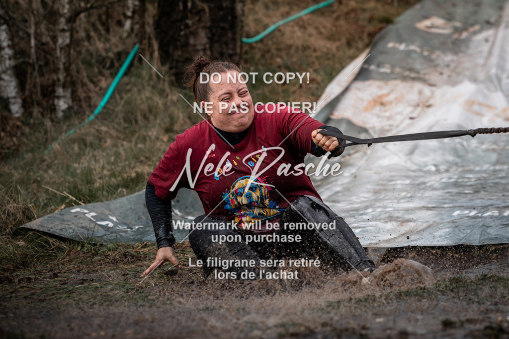 nelerasche_1330-1400_212 | nelerasche