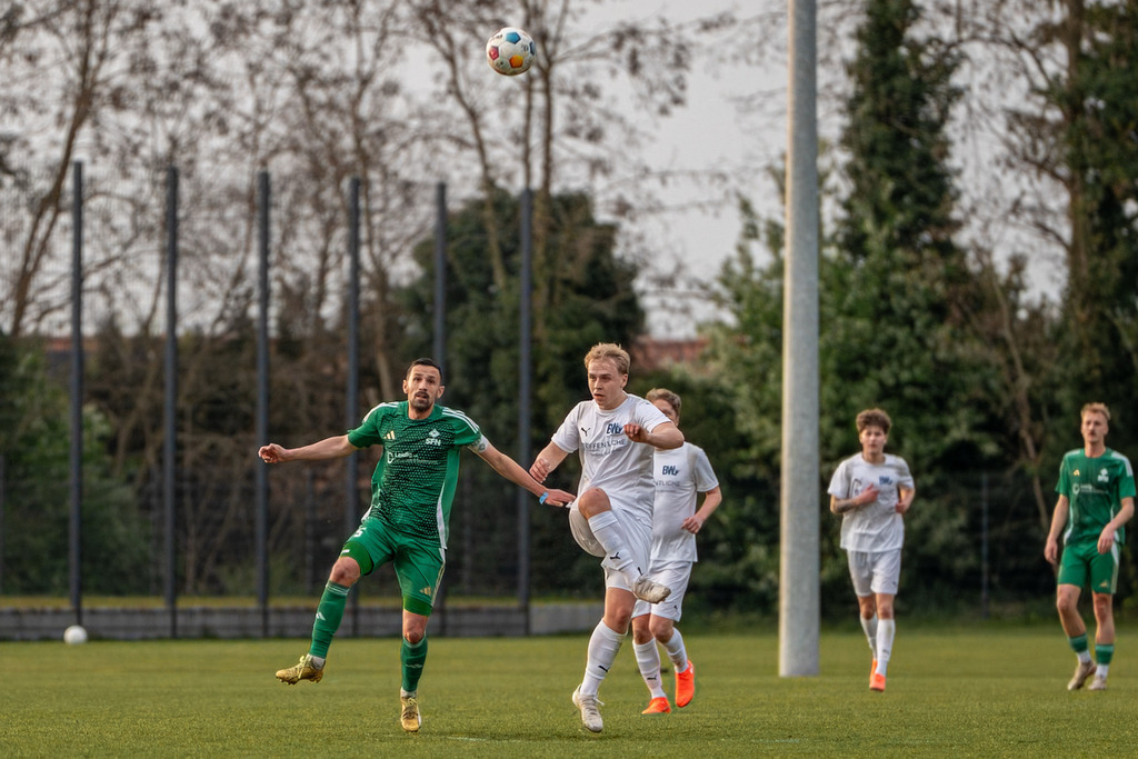 Fußball I Herren I Saison 2025-2026 I Landesliga Weser-Ems I 23. Spieltag I SFN Vechta - BW Lohne II I 01356 | jns.sportfotos - Realisiert mit Pictrs.com