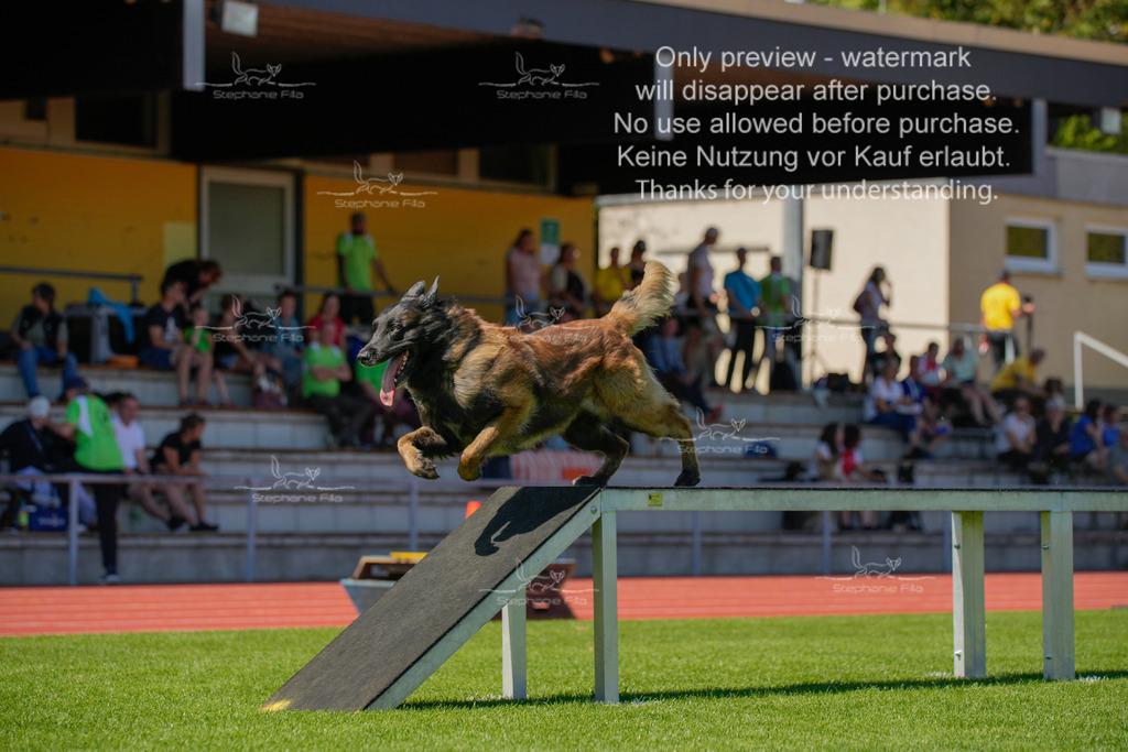 Sonntag_VK Hindernis (371 von 671) | stephaniefillaphotographie - Realisiert mit Pictrs.com