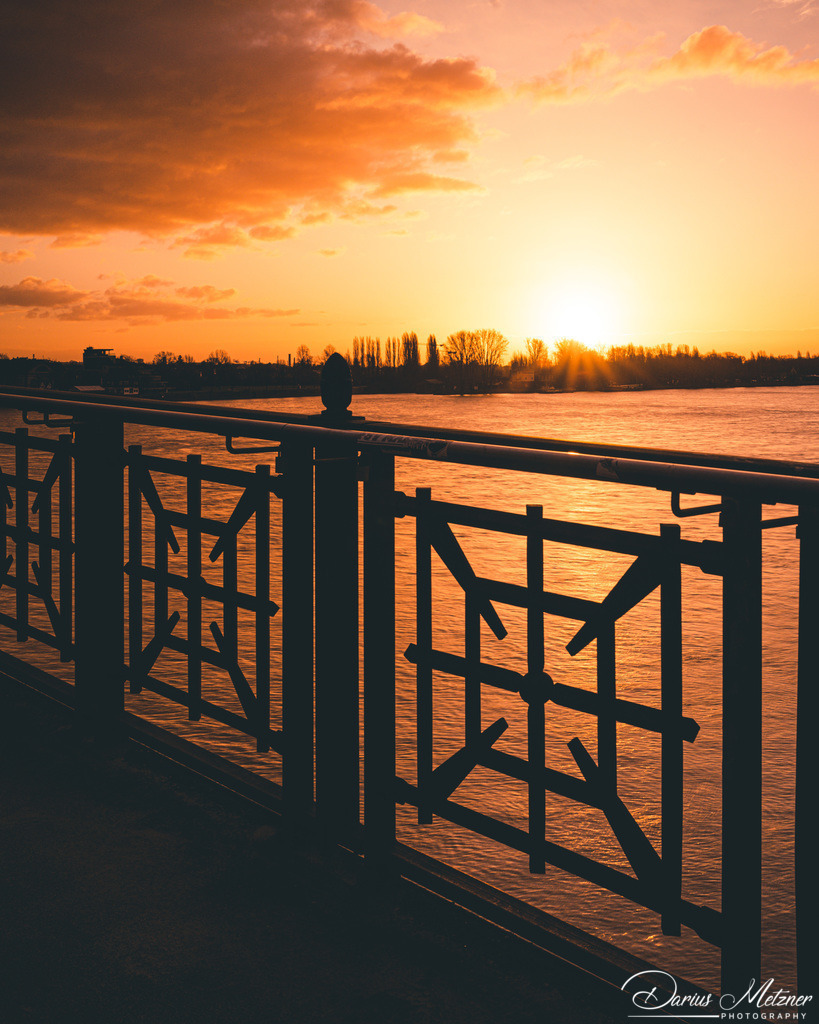 Sonnenaufgang an der Theodor-Heuss-Brücke | Sonnenaufgang an der Theodor-Heuss-Brücke