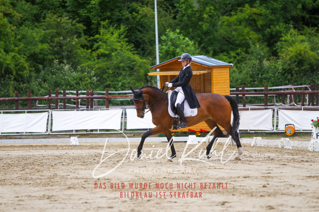 DKP47967 | Turnierfotos kaufen im Webshop von Daniel Kuhl Photography – entdecke professionelle Reitsportfotos aus Turnieren & Events. Hochwertige Turnierbilder online bestellen & sichern. Jetzt Fotos von Reitsportturnieren kaufen!