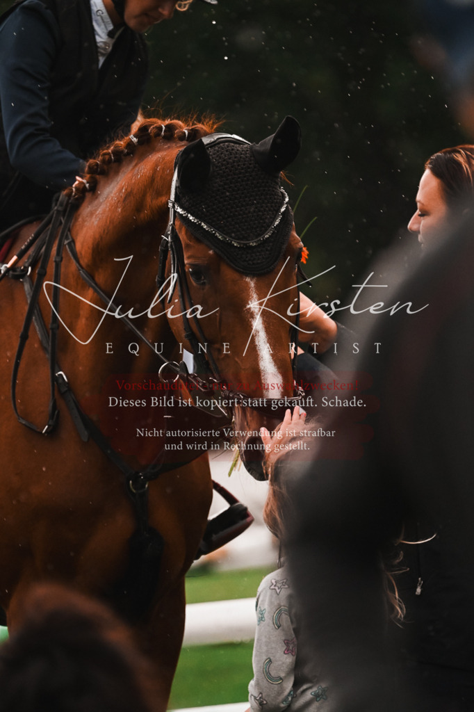 DSC_6211 | Pferde- und Turnierfotografie in Westsachsen. Pferdeportraits, Auftragszeichnungen und intuitive Kunst.