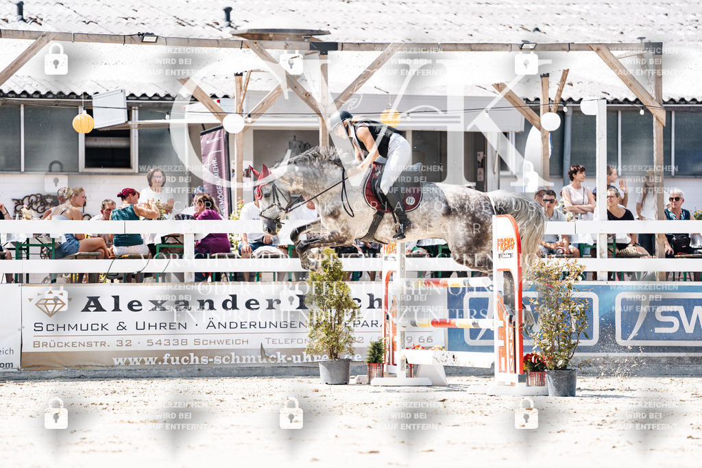 CK909691 | Turnierfotografie Pferdefotografie Trier Rheinland-Pfalz Pferdesport Reitsport Tierfotografie Sportfotografie Pferdevideo Pferdevideografie Equestrianvideography equestrianphotography  - Realisiert mit Pictrs.com