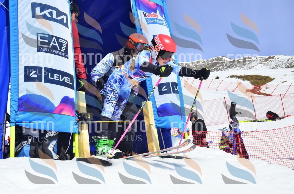 _ELE1213 | holidayphoto