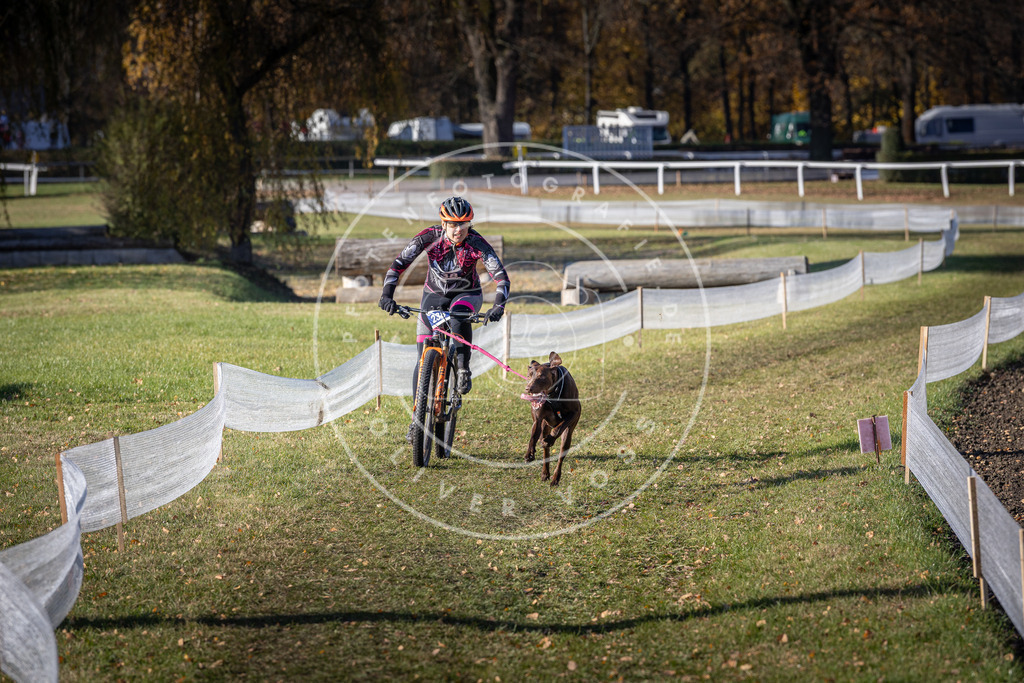 CaniXpix_DV3A4121 | Hundefotografie, Tierfotograf, Pfotenfotografie, Fotoshooting Hund, Hunde Portrait, Hundesport, Hundeportraits, Heideshooting, Hunde, Sportfotograf, Hundefotograf, Turnierhundsport, THS,  - Realisiert mit Pictrs.com