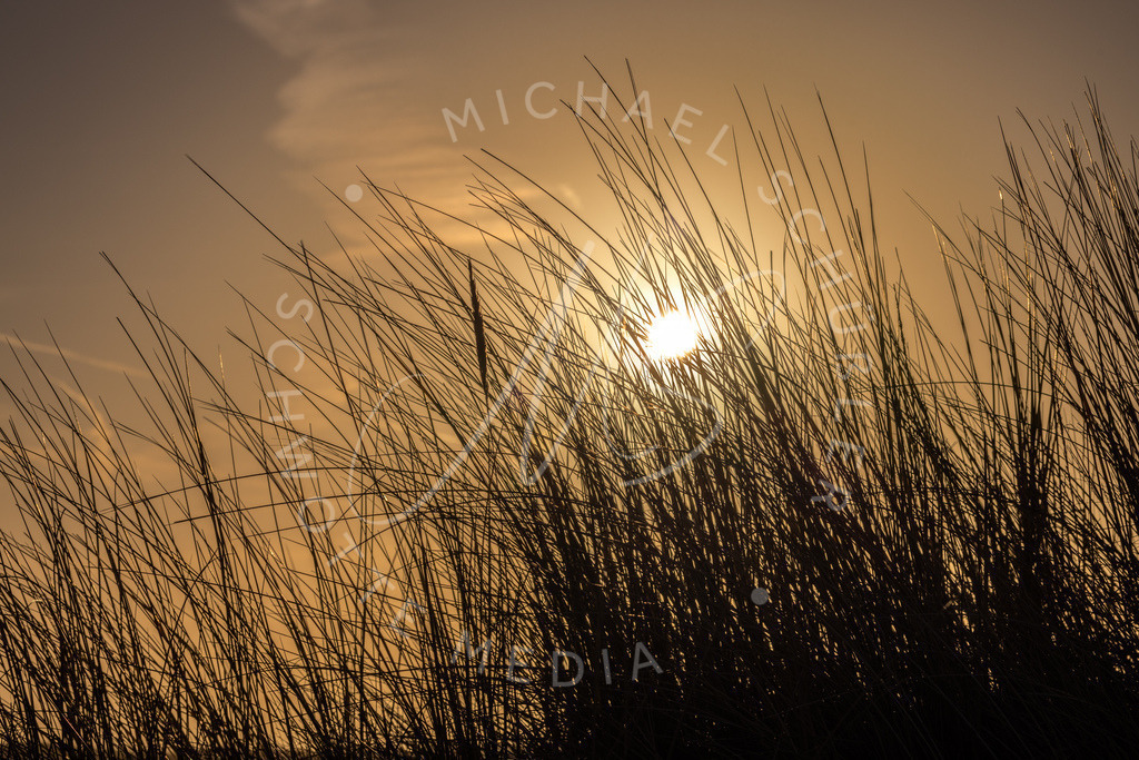 2024-01-27 SPO Duenen u Strand 013 | Schwotte Media - Realisiert mit Pictrs.com