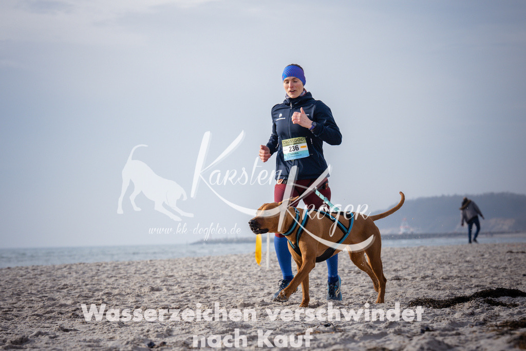 1016_ZZ94477 | kk-dogfotos