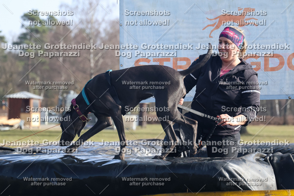 Dog Paparazzi - Strongdog North Mrz26-1417 | Dog Paparazzi Jeanette Grottendiek Fotografie & Videografie - Realisiert mit Pictrs.com