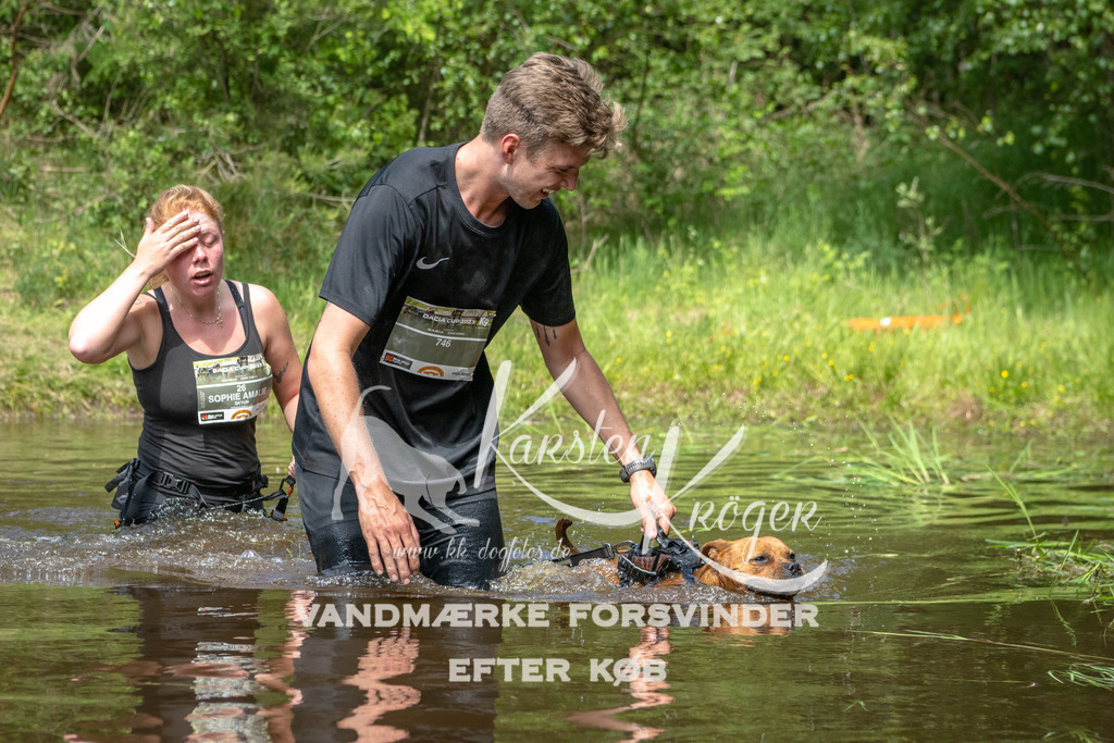 1231DKK993034 | kk-dogfotos