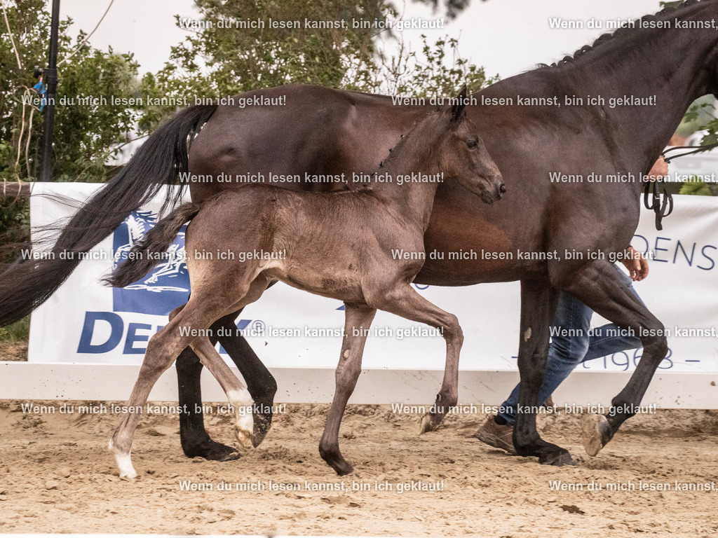 A10I5335 | photographylinaismer - Realisiert mit Pictrs.com