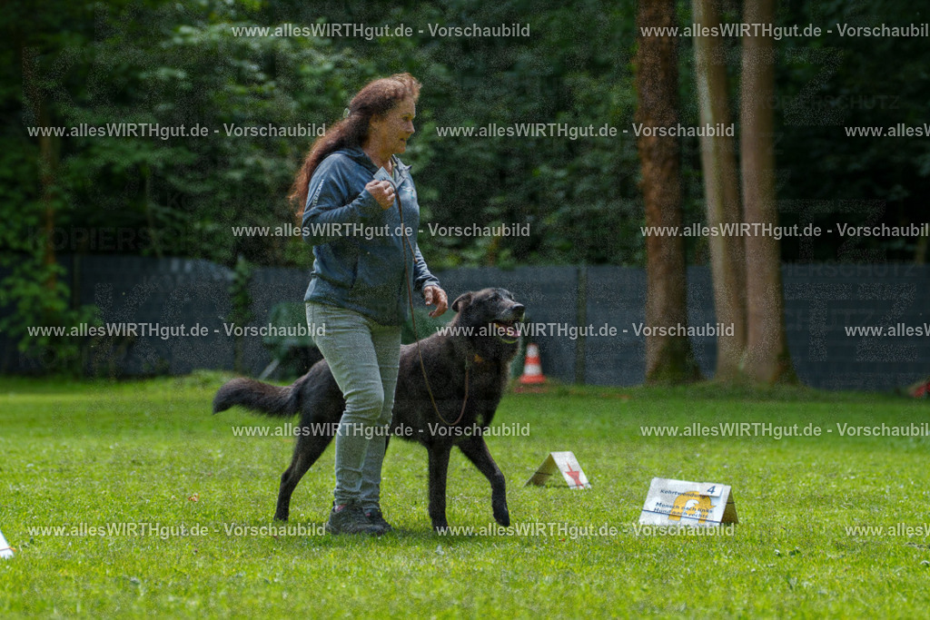 @allesWIRTHgut_Tierfotografie - www.allesWIRTHgut.de - 7R504732 | Professionelle Tierfotografie in Mönchengladbach von Daniel Wirth (allesWIRTHgut). Liebevolle & natürliche Bilder von Hunden & Katzen für unvergessliche Erinnerungen.