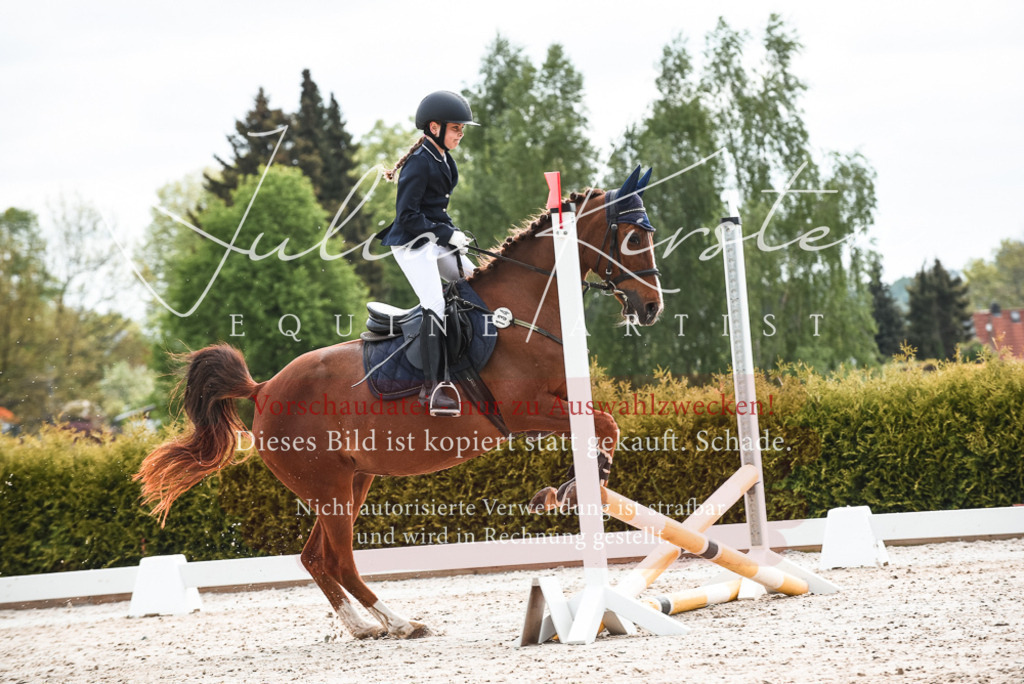 20230518_JK-Röhrsdorf-10-033 | Pferde- und Turnierfotografie in Westsachsen. Pferdeportraits, Auftragszeichnungen und intuitive Kunst.