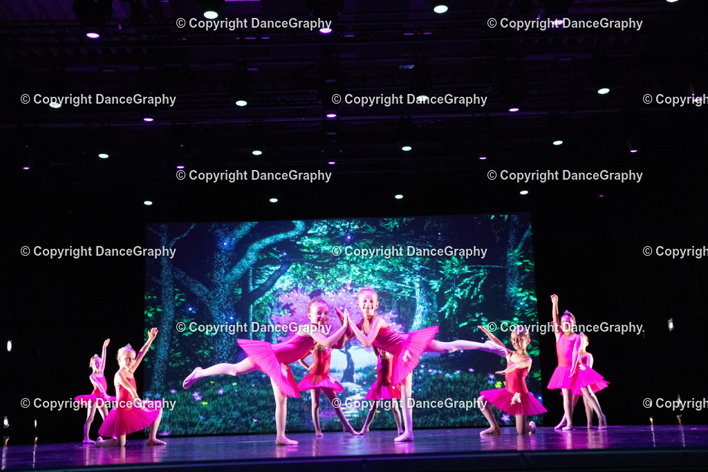 GPHY6038 | DanceGraphy - Realisiert mit Pictrs.com