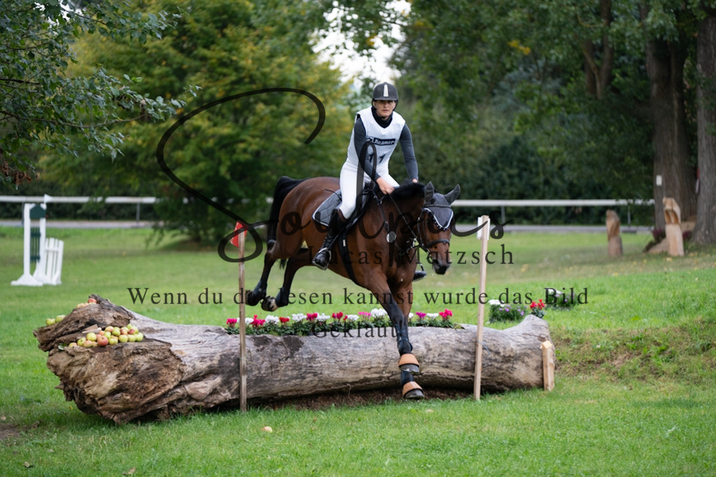 A7V02935 | Turnier/Reitfotograf