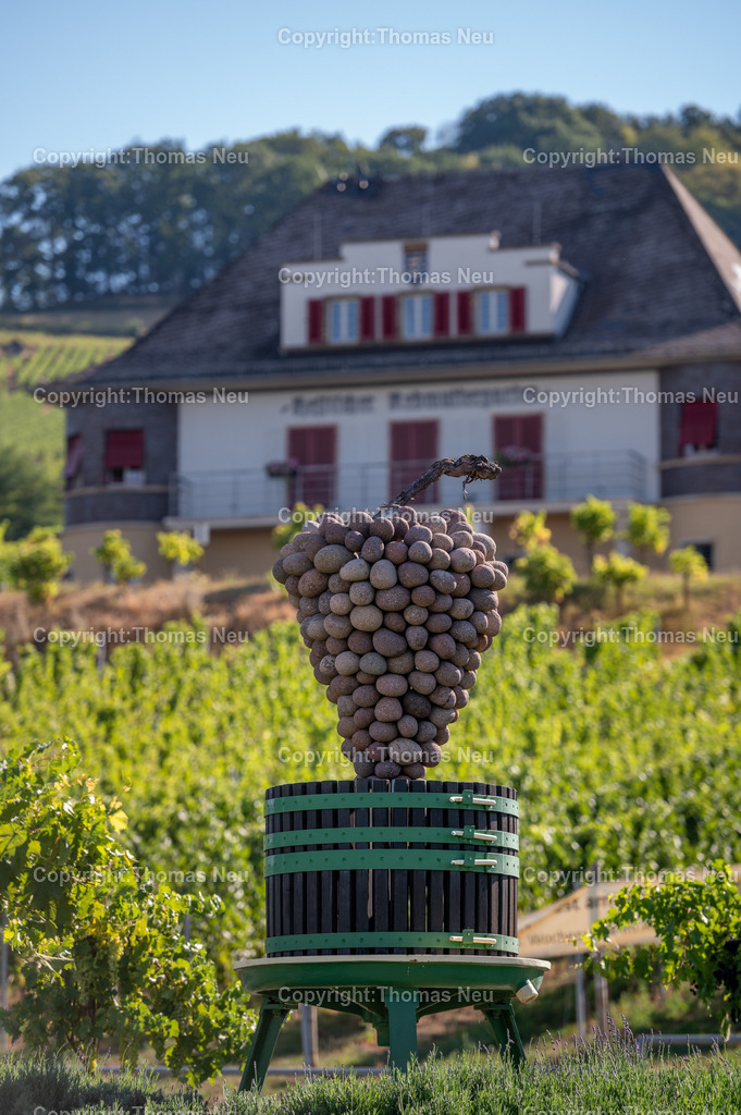 DSC_8722 | ,, Bild: Thomas Neu