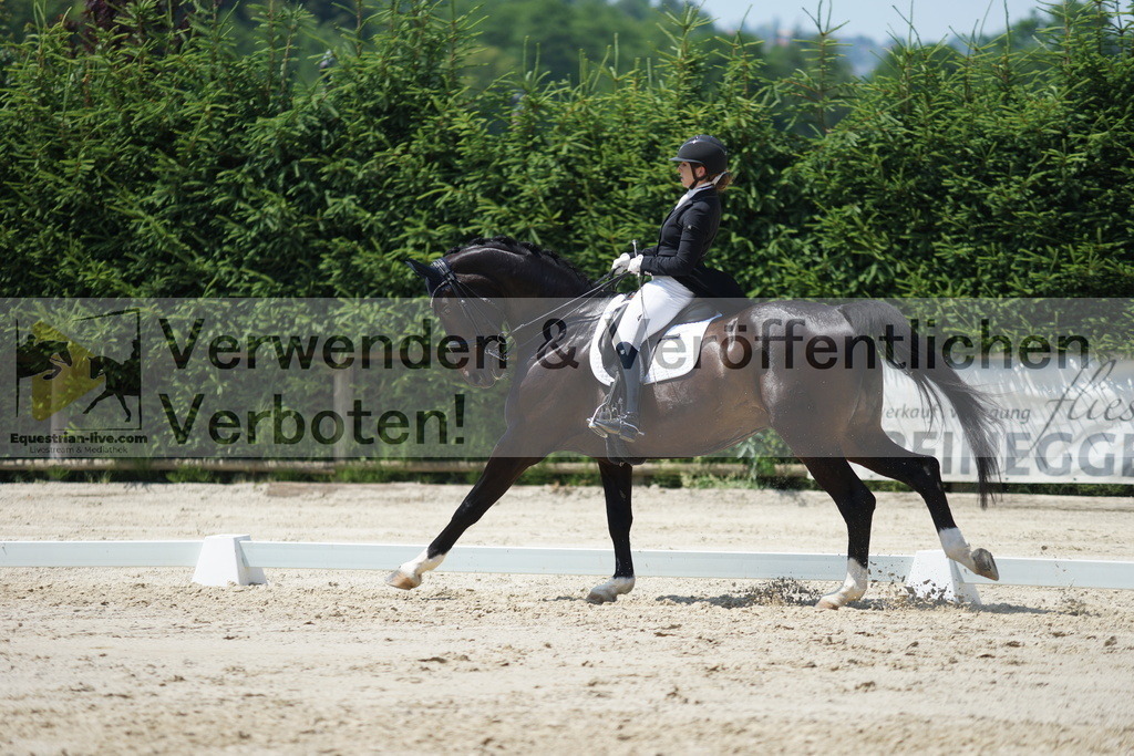 DSC05159 | equestrian-live-com