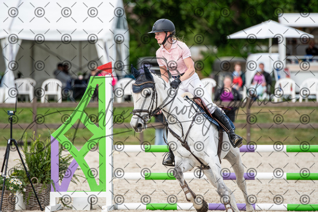 KPT_7043 | andre_photographic