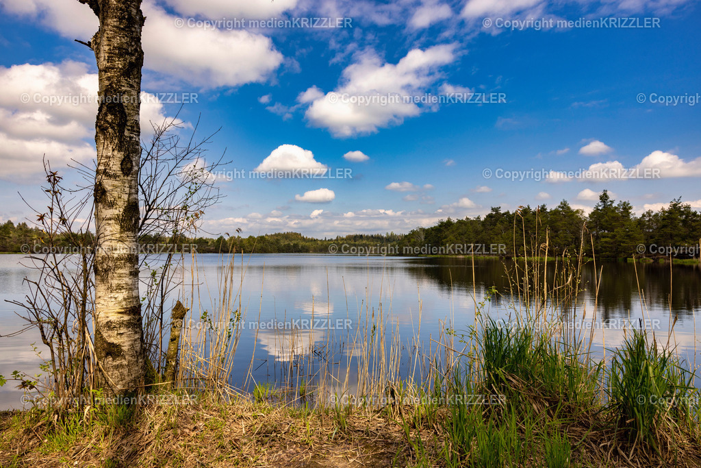 Schönramer Filz | medienkrizzler - Realisiert mit Pictrs.com