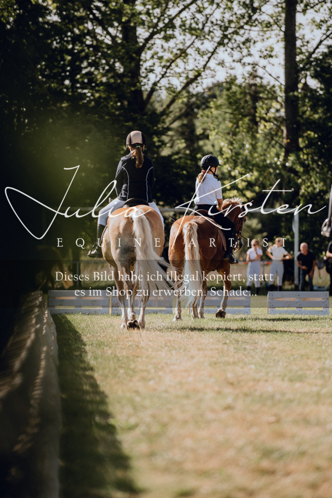 DSC_6869 | Pferde- und Turnierfotografie in Westsachsen. Pferdeportraits, Auftragszeichnungen und intuitive Kunst.