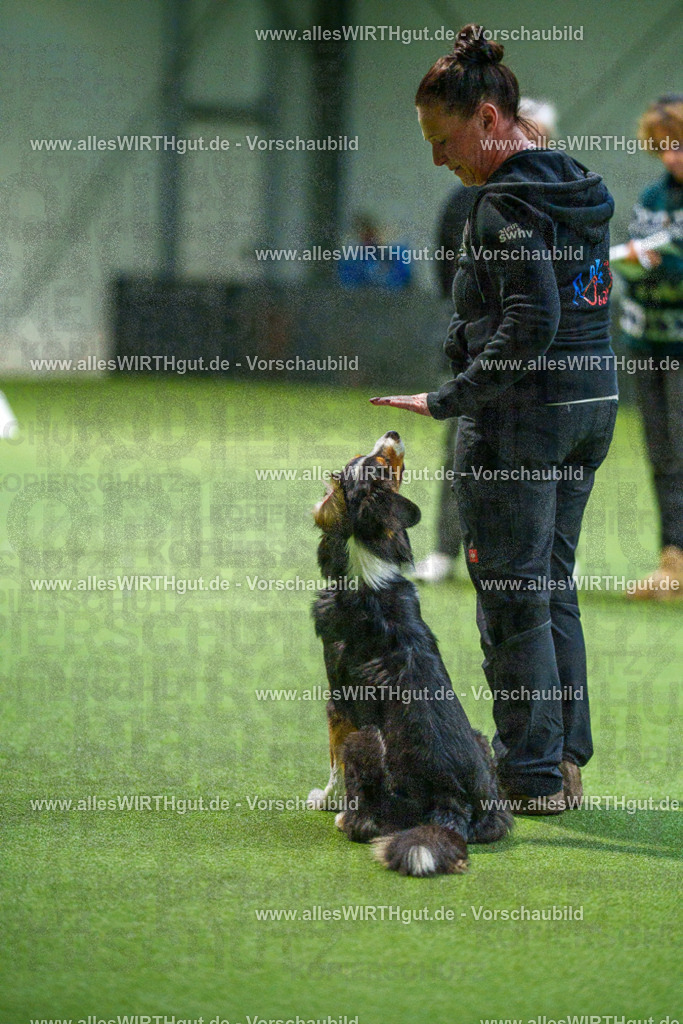 7R506974 | Professionelle Tierfotografie in Mönchengladbach von Daniel Wirth (allesWIRTHgut). Liebevolle & natürliche Bilder von Hunden & Katzen für unvergessliche Erinnerungen.