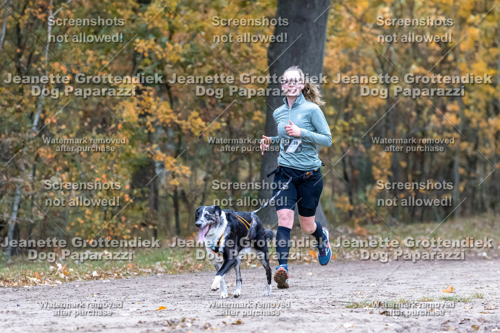 Dog Paparazzi - SD CaniX Championship 2025-303 | Dog Paparazzi Jeanette Grottendiek Fotografie & Videografie - Realisiert mit Pictrs.com