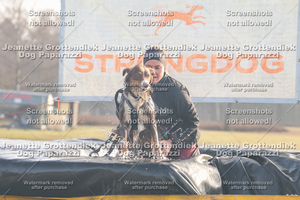 Dog Paparazzi - SD North Sa 830-900-165 | Dog Paparazzi Jeanette Grottendiek Fotografie & Videografie - Realisiert mit Pictrs.com