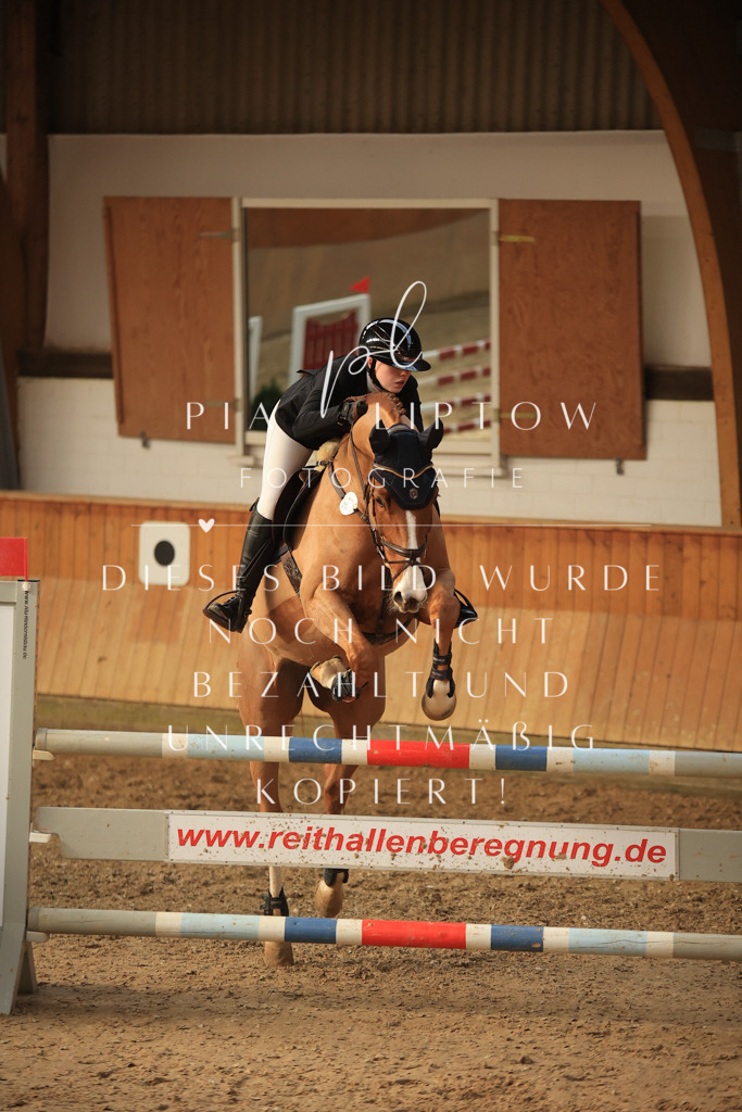 IMGT6494 | pl-fotografie