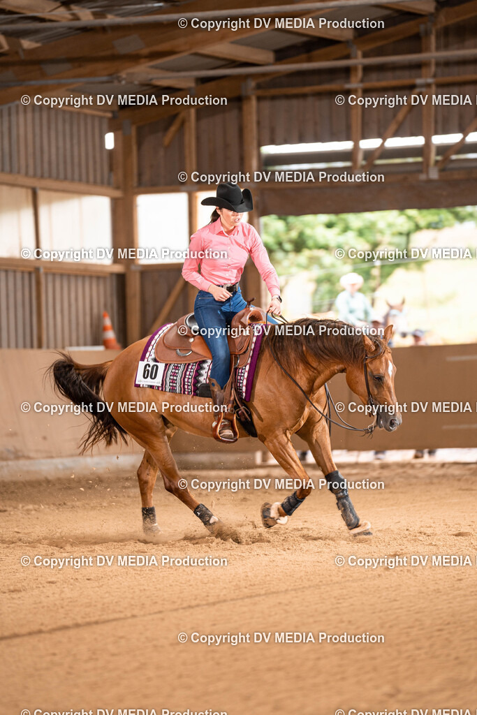 Losheim Tag 1-810 | dv-media-shop - Realisiert mit Pictrs.com