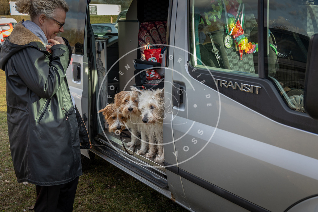 0L8A9334 | Hundefotografie, Tierfotograf, Pfotenfotografie, Fotoshooting Hund, Hunde Portrait, Hundesport, Hundeportraits, Heideshooting, Hunde, Sportfotograf, Hundefotograf, Turnierhundsport, THS,  - Realisiert mit Pictrs.com