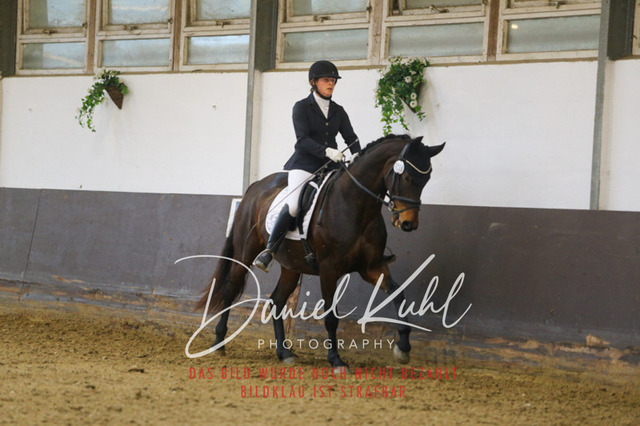 IMG_7611 | Turniersportfotografie; Pferdefotografie; Dressurfotografie