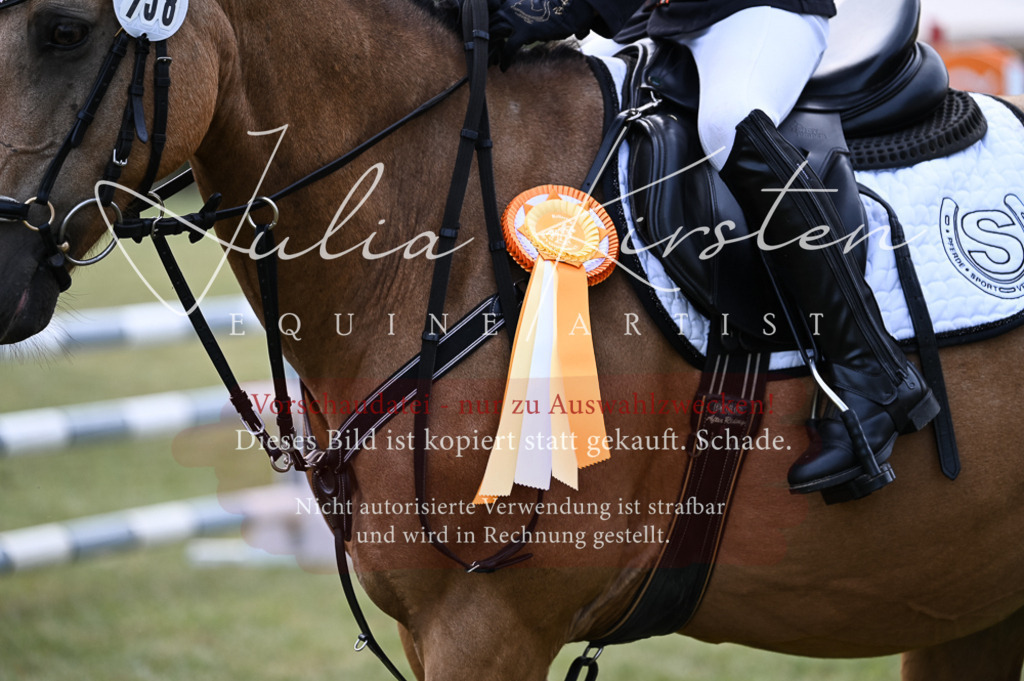 DSC_5783-2 | Pferde- und Turnierfotografie in Westsachsen. Pferdeportraits, Auftragszeichnungen und intuitive Kunst.