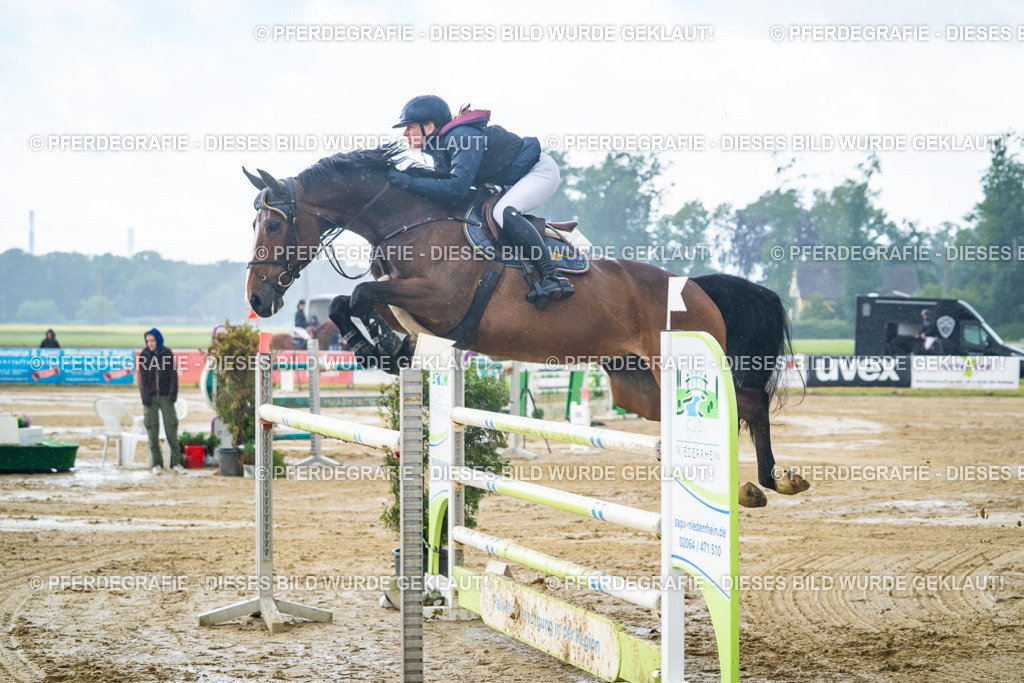 DSC04451 | Pferdegrafie