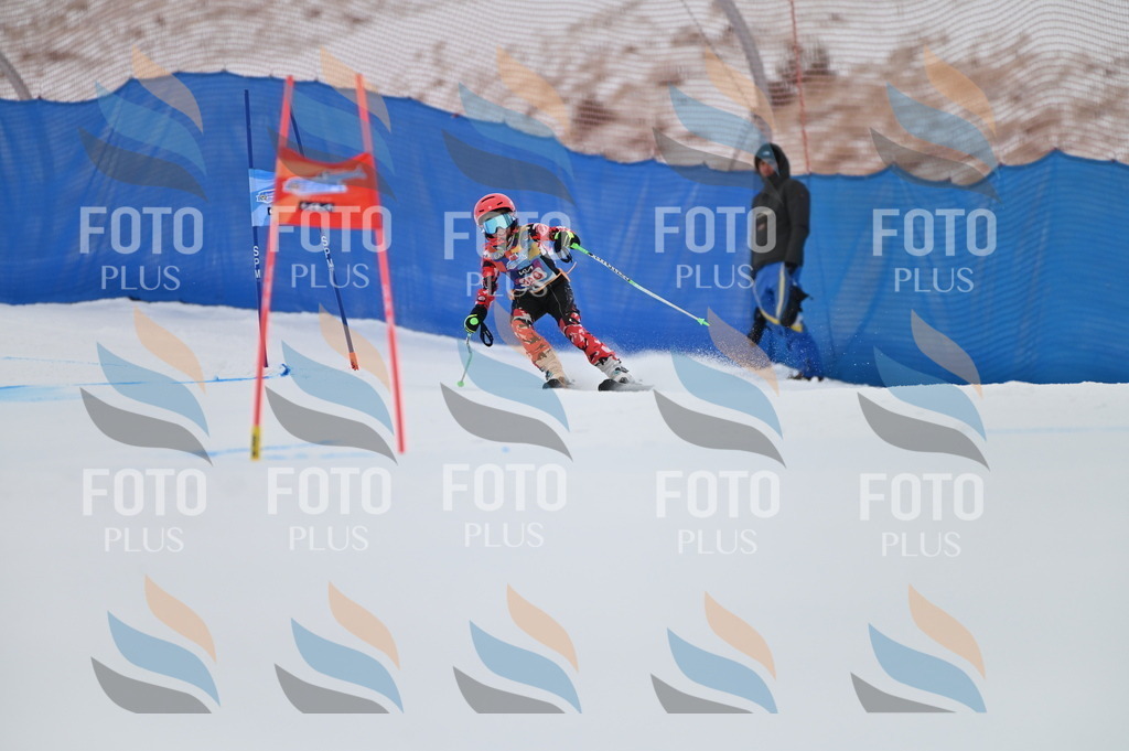 BGV_1342 | holidayphoto