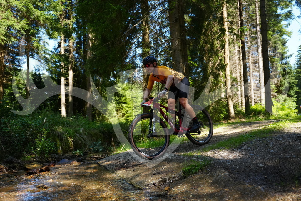 FC101787 | Fotogalerie der Treibjagd im Dunkelwald - Dein MTB Etappenrennen im Erzgebirge - Realisiert mit Pictrs.com