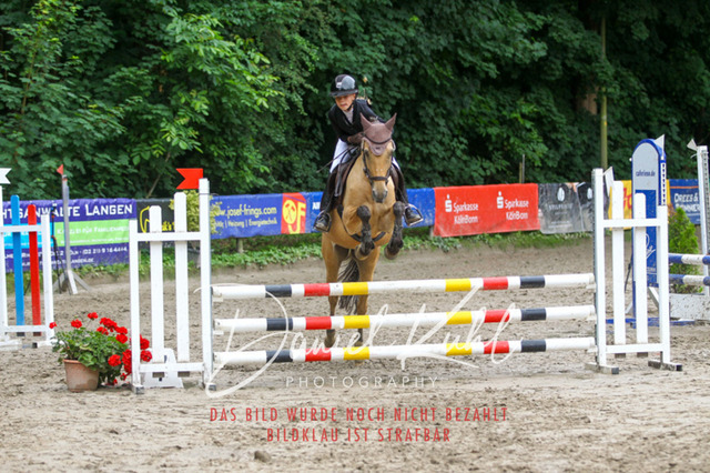 DKP44898 | Turniersportfotografie; Pferdefotografie; Dressurfotografie