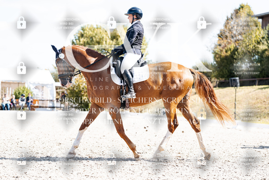 CK903247 | Turnierfotografie Pferdefotografie Trier Rheinland-Pfalz Pferdesport Reitsport Tierfotografie Sportfotografie Pferdevideo Pferdevideografie Equestrianvideography equestrianphotography  - Realisiert mit Pictrs.com