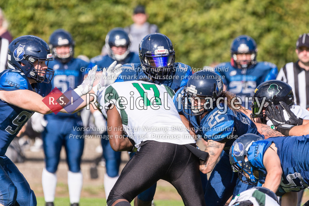American Football, Saison 2022, Regionalliga Nord, Hamburg Blue Devils - Oldenburg Knights, Dr.-Hermann-Schnell-Sportplatz (Hamburg), 06.08.2022, 07. Gameweek | Tobias Siewe (#91, Blue Devils, DL), Christopher Stender (#27, Blue Devils, DB) und Max Malte Plagge (#22, Blue Devils, DB) nehmen Adrian Dorsey (#17, Oldenburg) in die Zange.