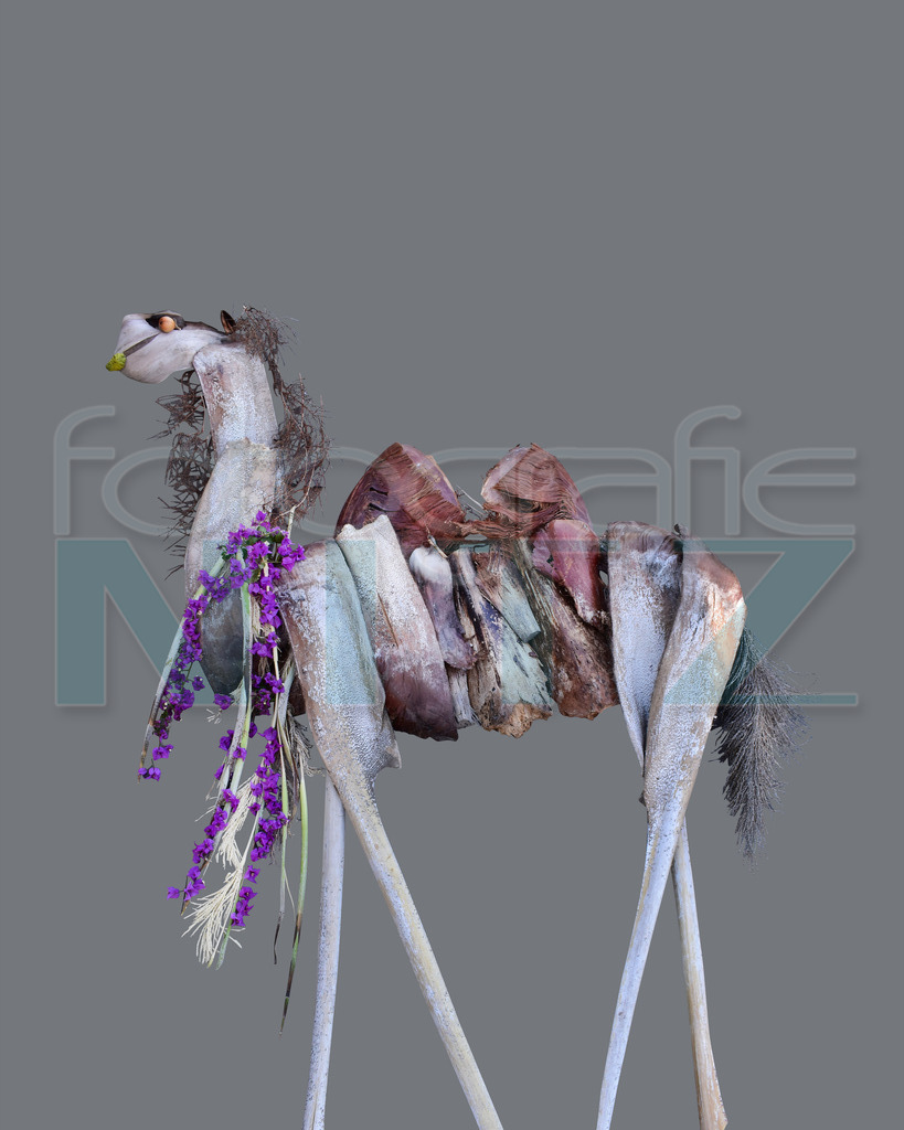 63 | Nitz Fotografie aus Montabaur bietet Ihnen hier die Möglichkeit Bilder auszusuchen und zu bestellen. 