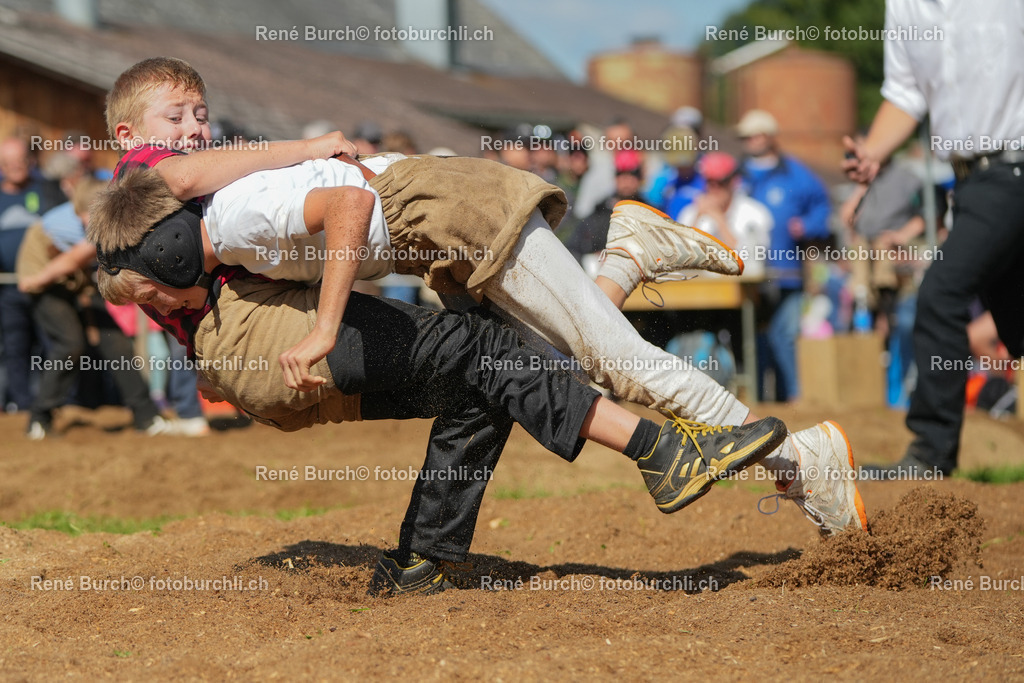 RB_00697-2 | René Burch leidenschaftlicher Fotograf aus Kerns in Obwalden.  Hier finden sie Sport, Landschaft und Natur Fotografie.
 - Realisiert mit Pictrs.com