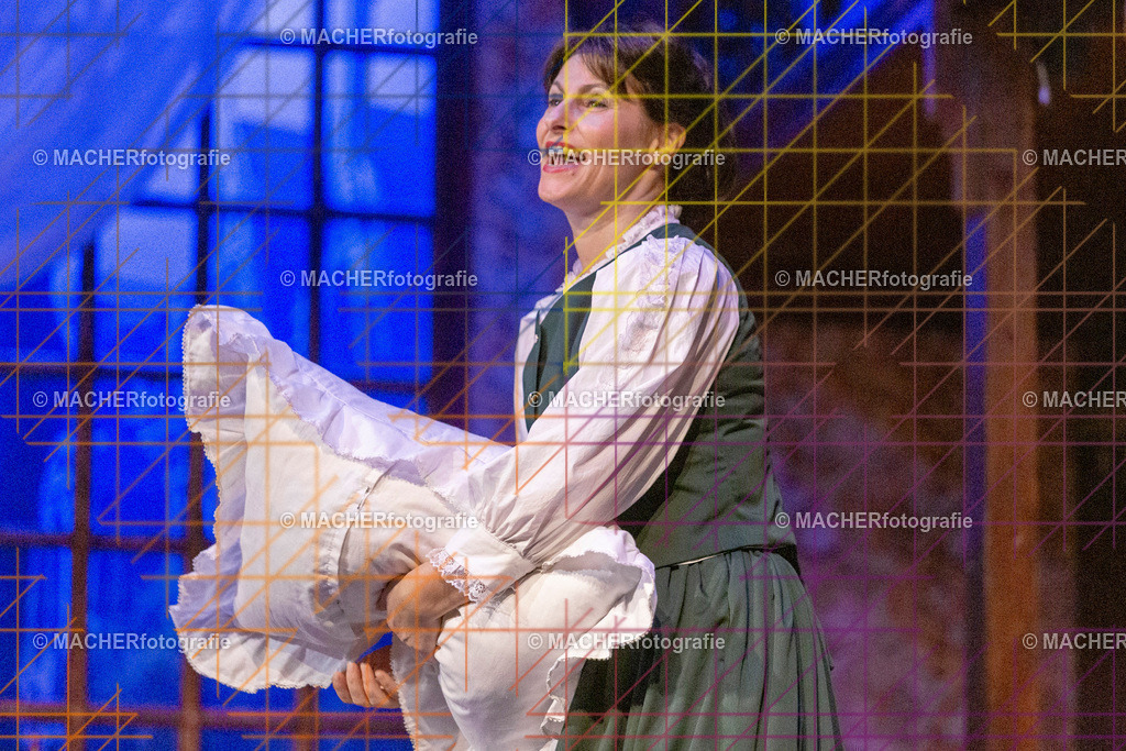 240_MFL-2025 | Portraitbilder von Regisseur; Darsteller; Techniker; Maske; Kostüme; Chor; Musiker; Bilderserie der Generalprobe und der Premierenvorstellung, Szenenbilder; Ausdrucksstudien; Bühnenüberblick; Bühnenkulissen; Pressefotos inkl. Redaktionsfoto Darstellergruppe.