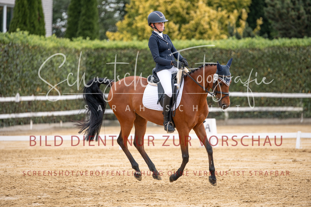 Schugtsche-Aluta25-40.DressurprfA_-368 | Schugtsche Fotografie - Realisiert mit Pictrs.com