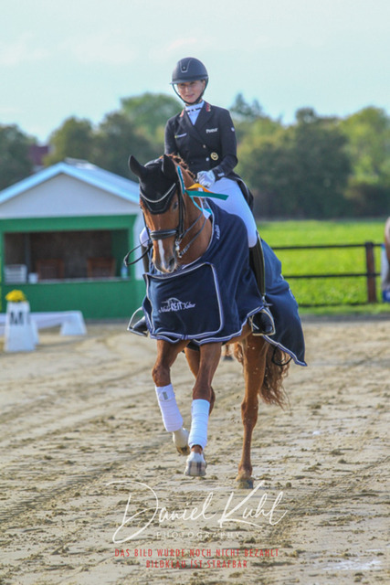DKP45664 | Turniersportfotografie; Pferdefotografie; Dressurfotografie