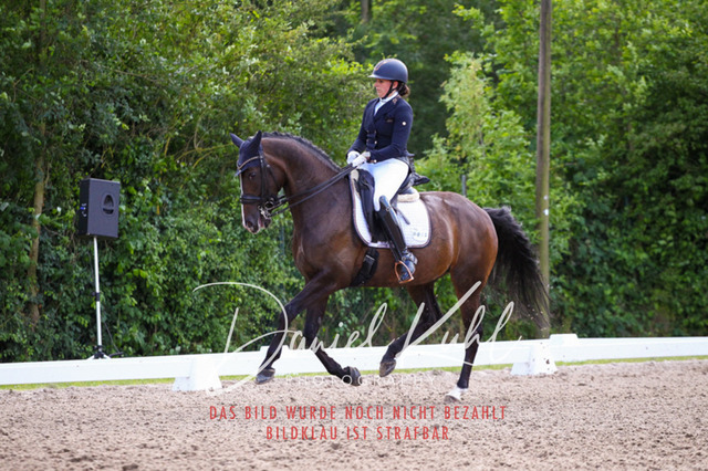 DKP41364 | Turnierfotos kaufen im Webshop von Daniel Kuhl Photography – entdecke professionelle Reitsportfotos aus Turnieren & Events. Hochwertige Turnierbilder online bestellen & sichern. Jetzt Fotos von Reitsportturnieren kaufen!