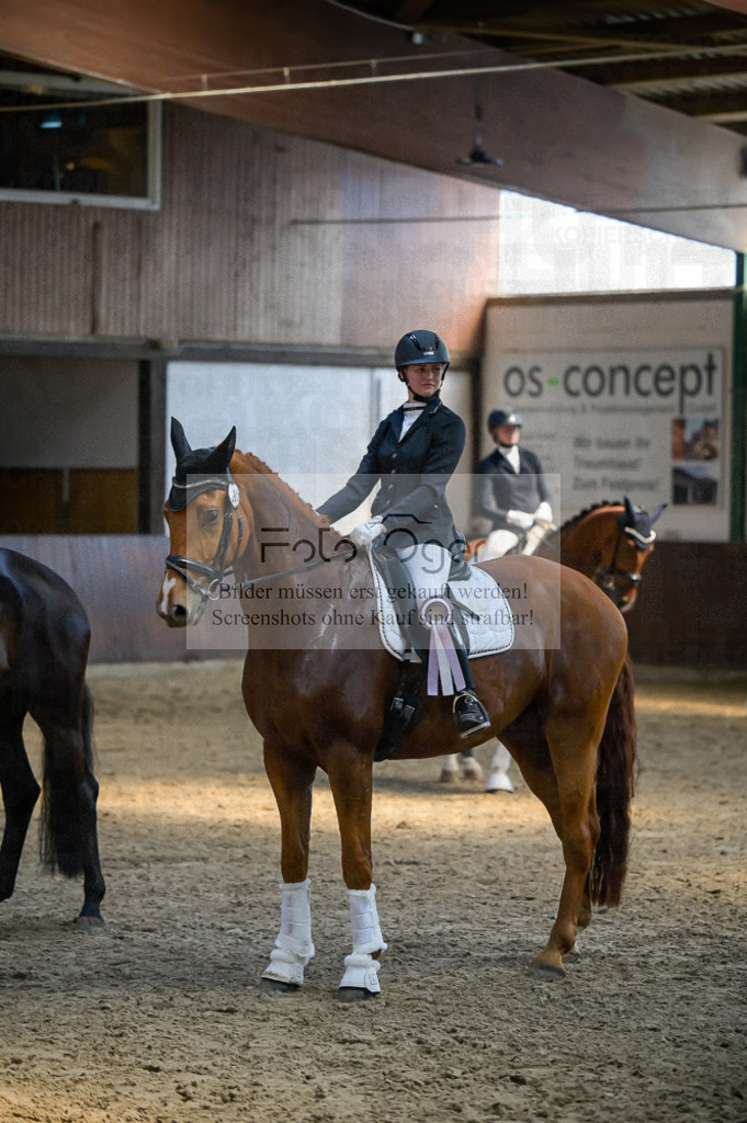 Reitturnier Voxtrup | Entdecke hochwertige Reitturnierfotos von Foto Oger. Professionell, emotional und authentisch – jetzt Lieblingsmomente im Shop bestellen.Deutschlandweite Turnierfotografie. - Realisiert mit Pictrs.com