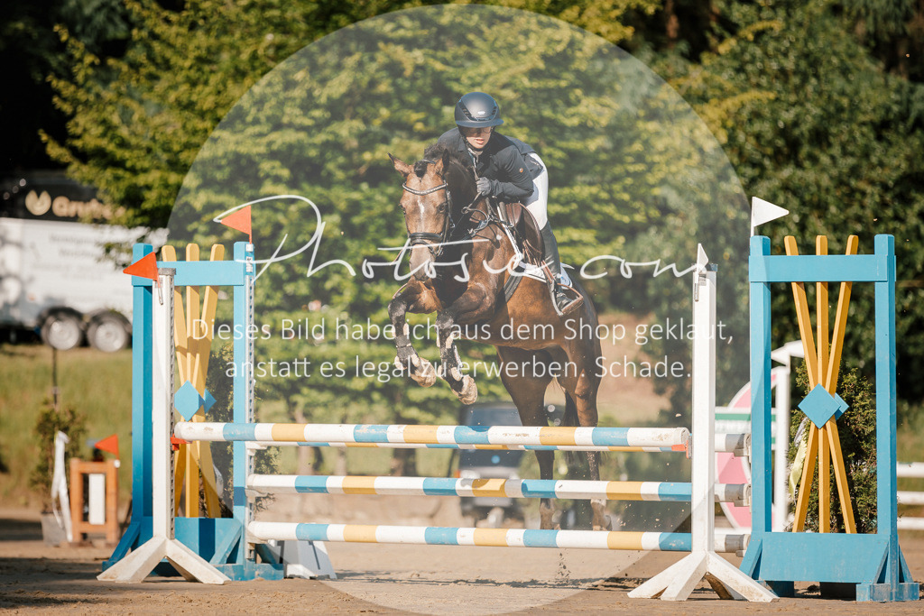 3I6A6262 | Stimmungsvolle Portraits und Reitsportfotografie im Ruhrgebiet und im Münsterland.

Pferdefotografie, Hundefotografie, Tierfotografie, Reportagen, Portraits von Tier und Mensch, Turnierfotografie in Bochum, Recklinghausen, Marl, Haltern am See, Dülmen.. - Realisiert mit Pictrs.com