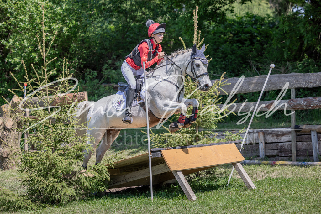 20260523-_3LI8551 | Tierfotografie Pferde, Hunde, Katzen, Haustiere.
Turnierfotografie Reitturniere, Reiten, Springreiten, Dressur in Hanau, dem Main-Kinzig-Kreis und dem Rhein-Main- Gebiet um Frankfurt