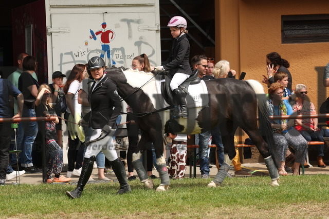Weingarten_2023_Führzügel-WB_Gruppe 1 (4) | Alle Fotos der Reiterjournal Fotografin Doris Matthaes im Reiterjournal Online-Fotoshop. - Realisiert mit Pictrs.com