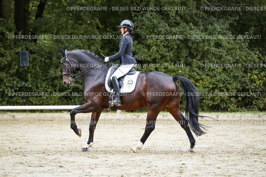 DSC09197 | Pferdegrafie