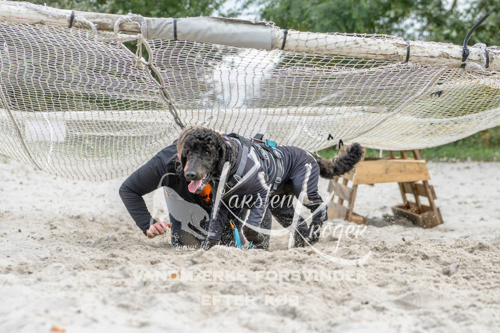 1519_ZZ94256 | kk-dogfotos